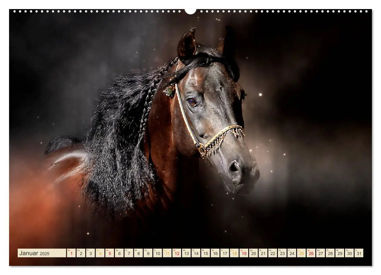 Bild: 9783435289097 | Eleganz und Schönheit - Pferde (hochwertiger Premium Wandkalender...