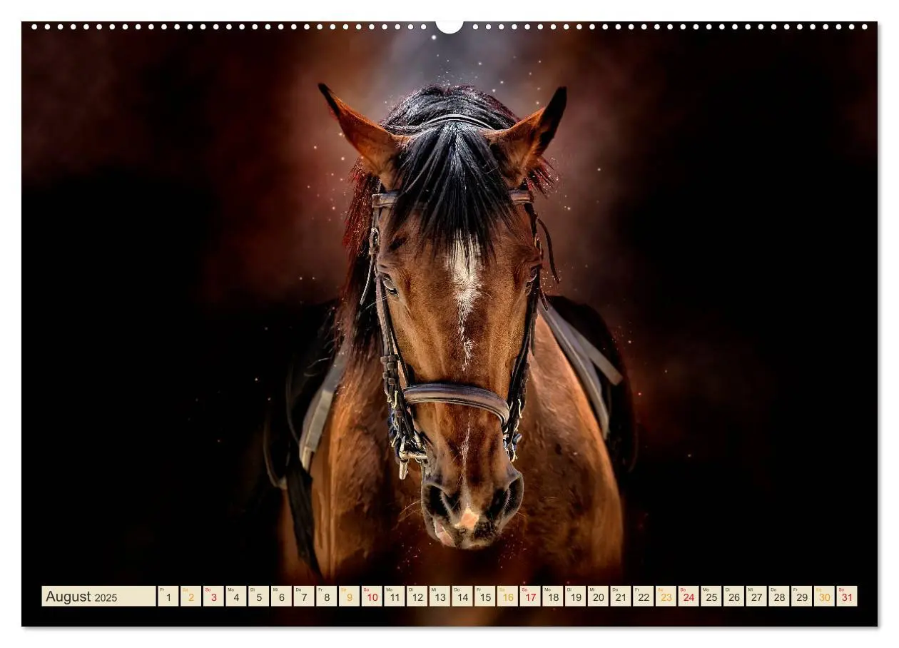 Bild: 9783435289097 | Eleganz und Schönheit - Pferde (hochwertiger Premium Wandkalender...