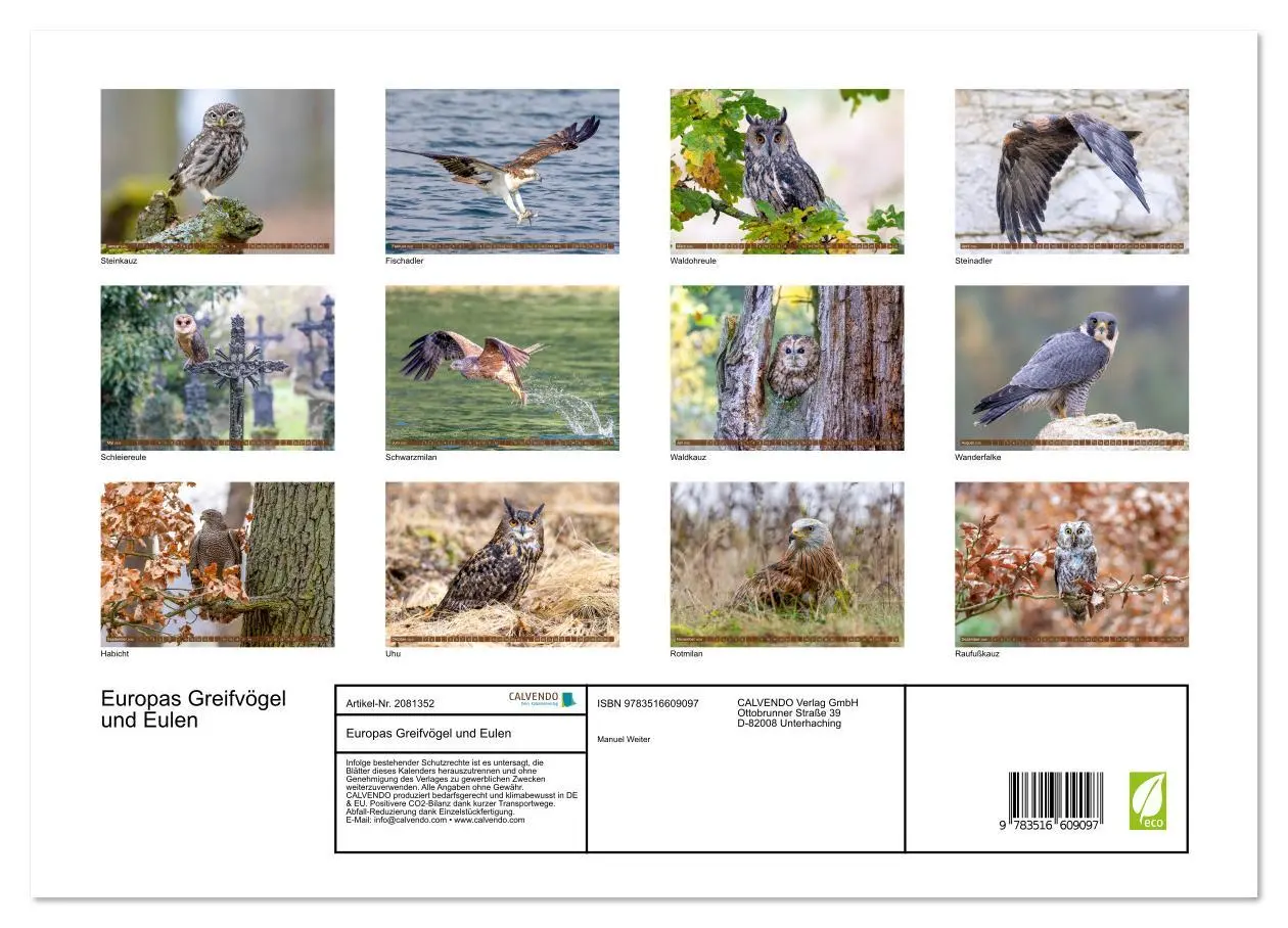 Bild: 9783516609097 | Europas Greifvögel und Eulen (hochwertiger Premium Wandkalender...