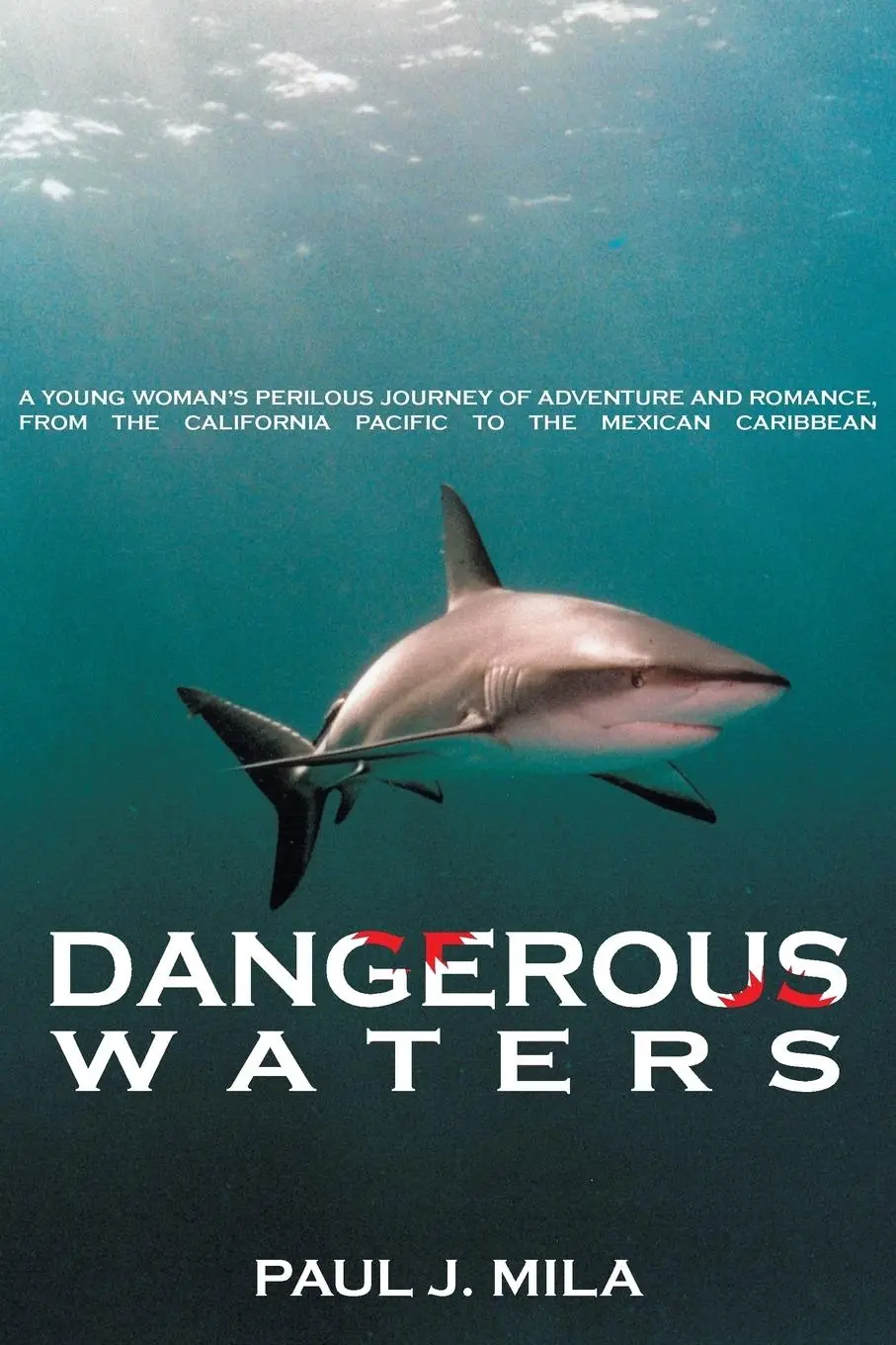 Cover: 9781418409197 | Dangerous Waters | Paul J. Mila | Taschenbuch | Englisch | 2004
