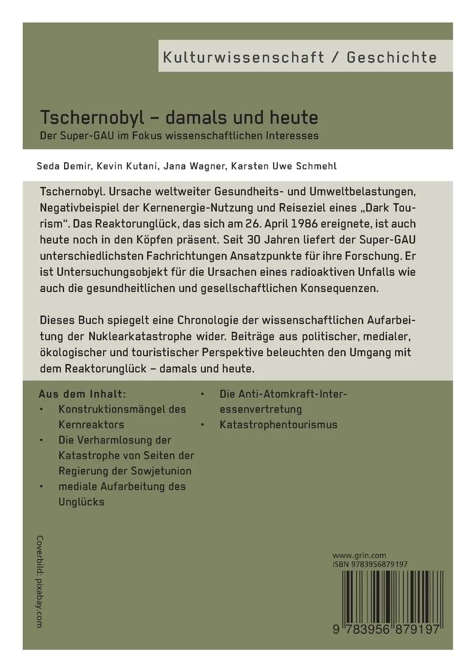 Rückseite: 9783956879197 | Tschernobyl - damals und heute | Seda Demir (u. a.) | Taschenbuch