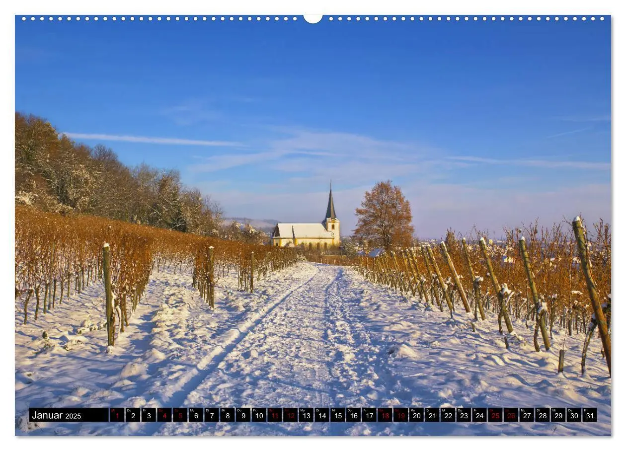 Bild: 9783435409297 | Augenschmaus Pfalz (Wandkalender 2025 DIN A2 quer), CALVENDO...