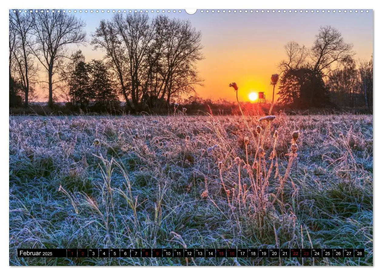 Bild: 9783435409297 | Augenschmaus Pfalz (Wandkalender 2025 DIN A2 quer), CALVENDO...