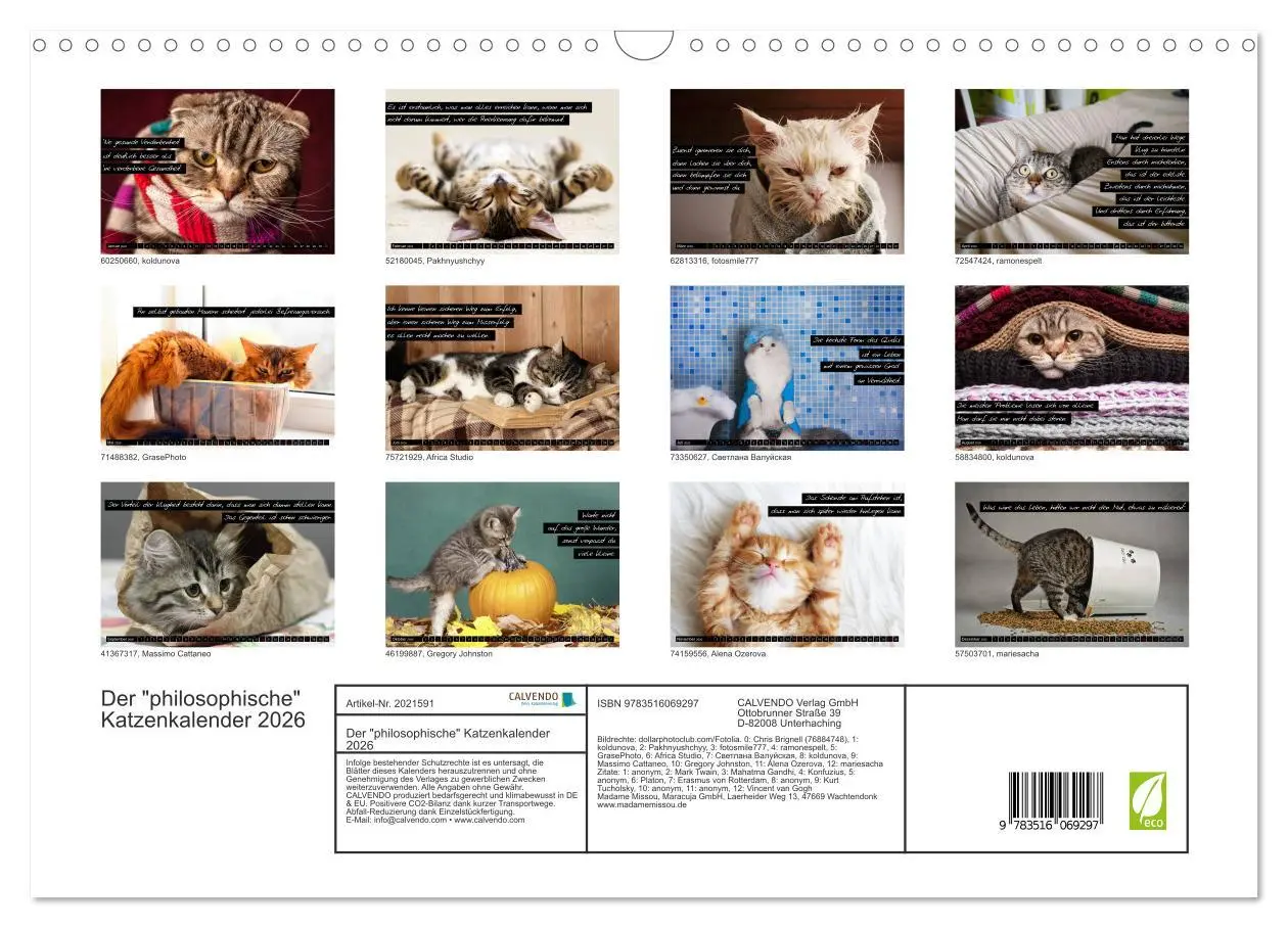 Bild: 9783516069297 | Der "philosophische" Katzenkalender 2026 (Wandkalender 2026 DIN A3...