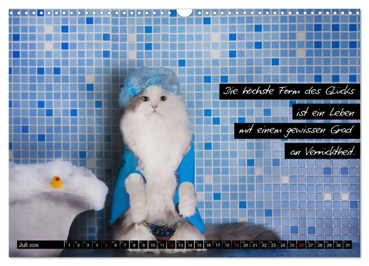 Bild: 9783516069297 | Der "philosophische" Katzenkalender 2026 (Wandkalender 2026 DIN A3...