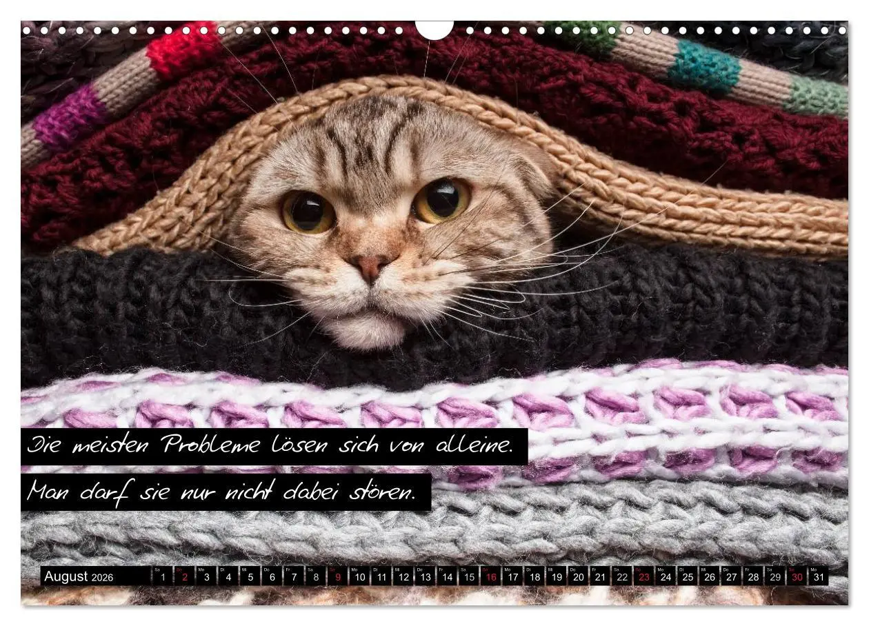 Bild: 9783516069297 | Der "philosophische" Katzenkalender 2026 (Wandkalender 2026 DIN A3...