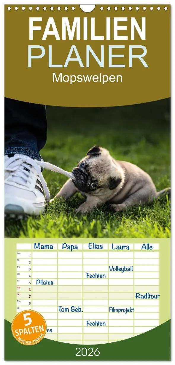 Cover: 9783516519297 | Familienplaner 2026 - Mopswelpen mit 5 Spalten (Wandkalender, 21 x...