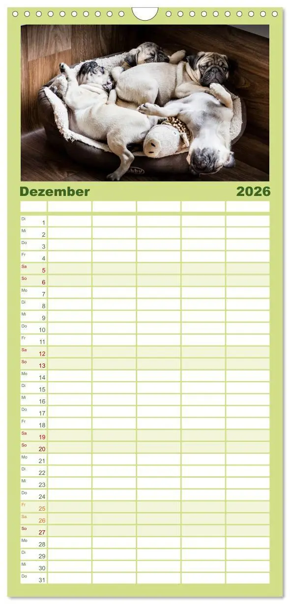 Bild: 9783516519297 | Familienplaner 2026 - Mopswelpen mit 5 Spalten (Wandkalender, 21 x...