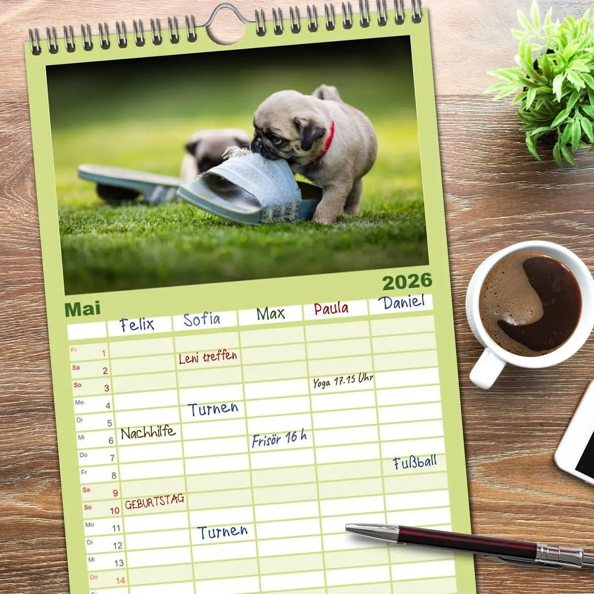 Bild: 9783516519297 | Familienplaner 2026 - Mopswelpen mit 5 Spalten (Wandkalender, 21 x...