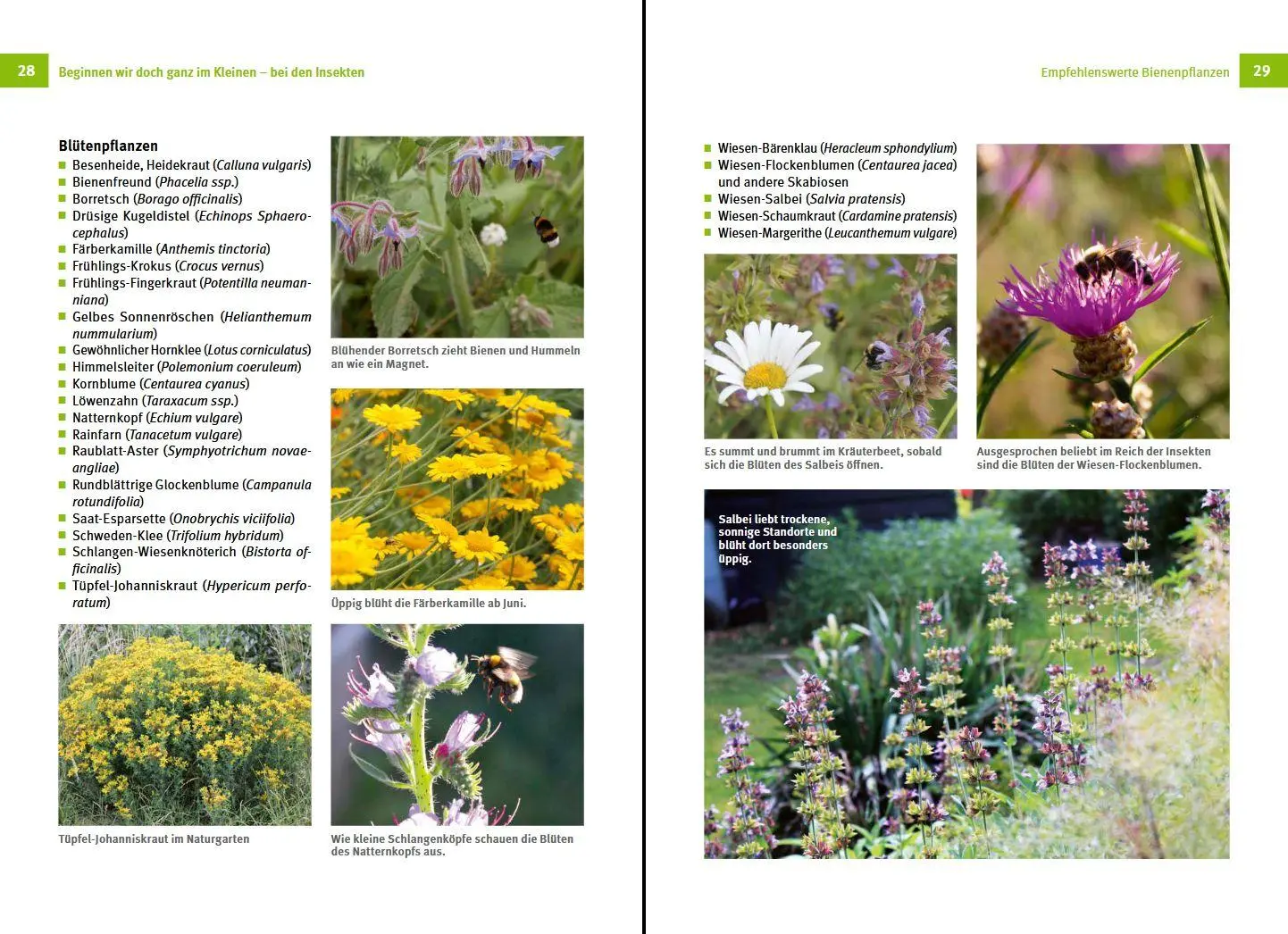 Bild: 9783702019297 | Nützlinge im Garten fördern | Sofie Meys | Buch | 176 S. | Deutsch