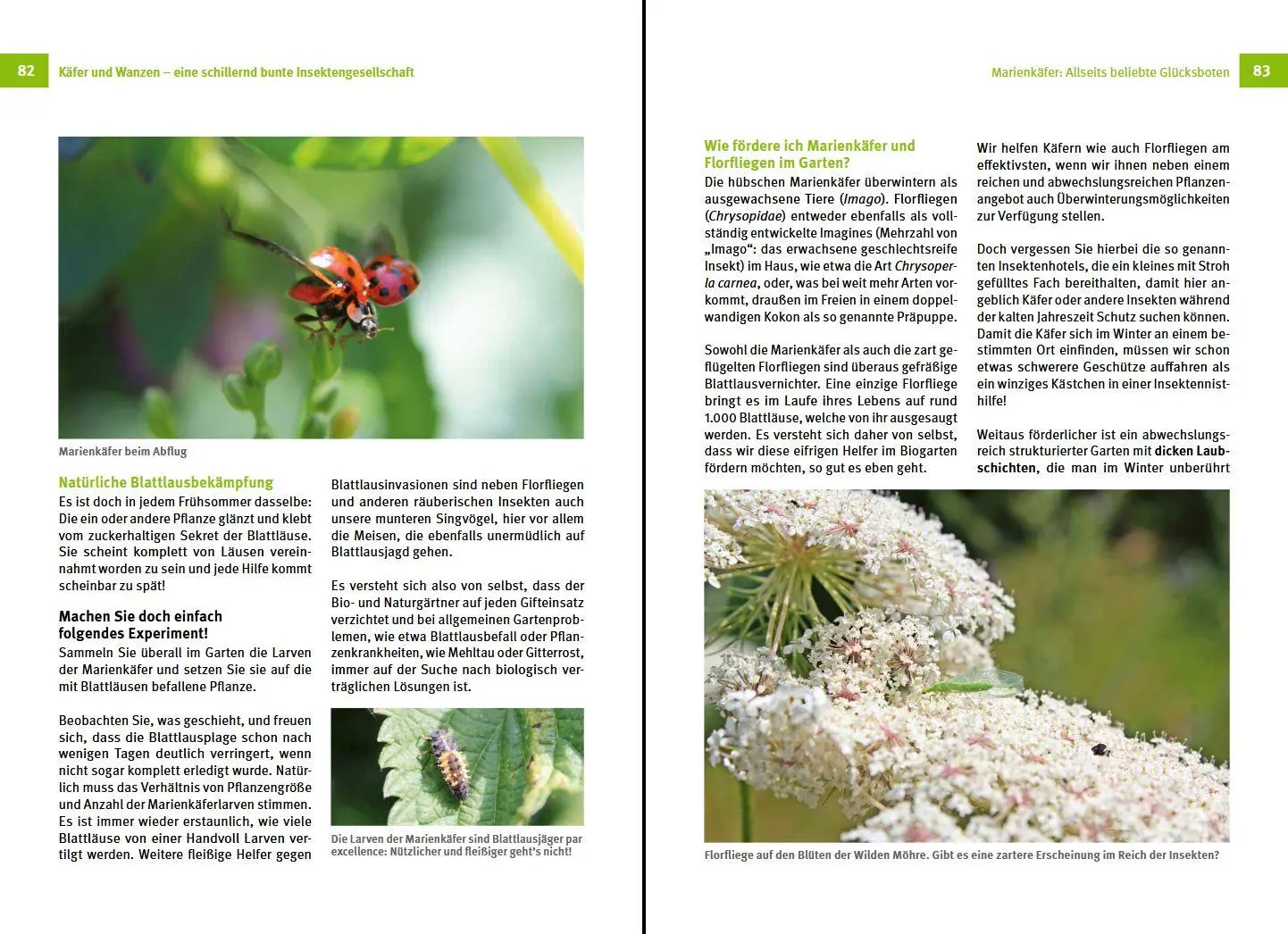 Bild: 9783702019297 | Nützlinge im Garten fördern | Sofie Meys | Buch | 176 S. | Deutsch