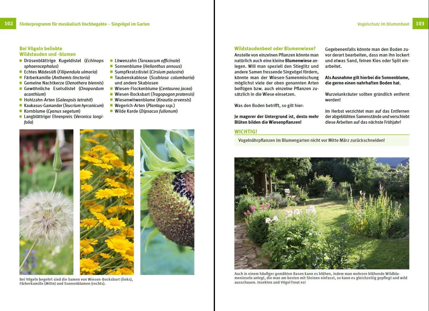 Bild: 9783702019297 | Nützlinge im Garten fördern | Sofie Meys | Buch | 176 S. | Deutsch