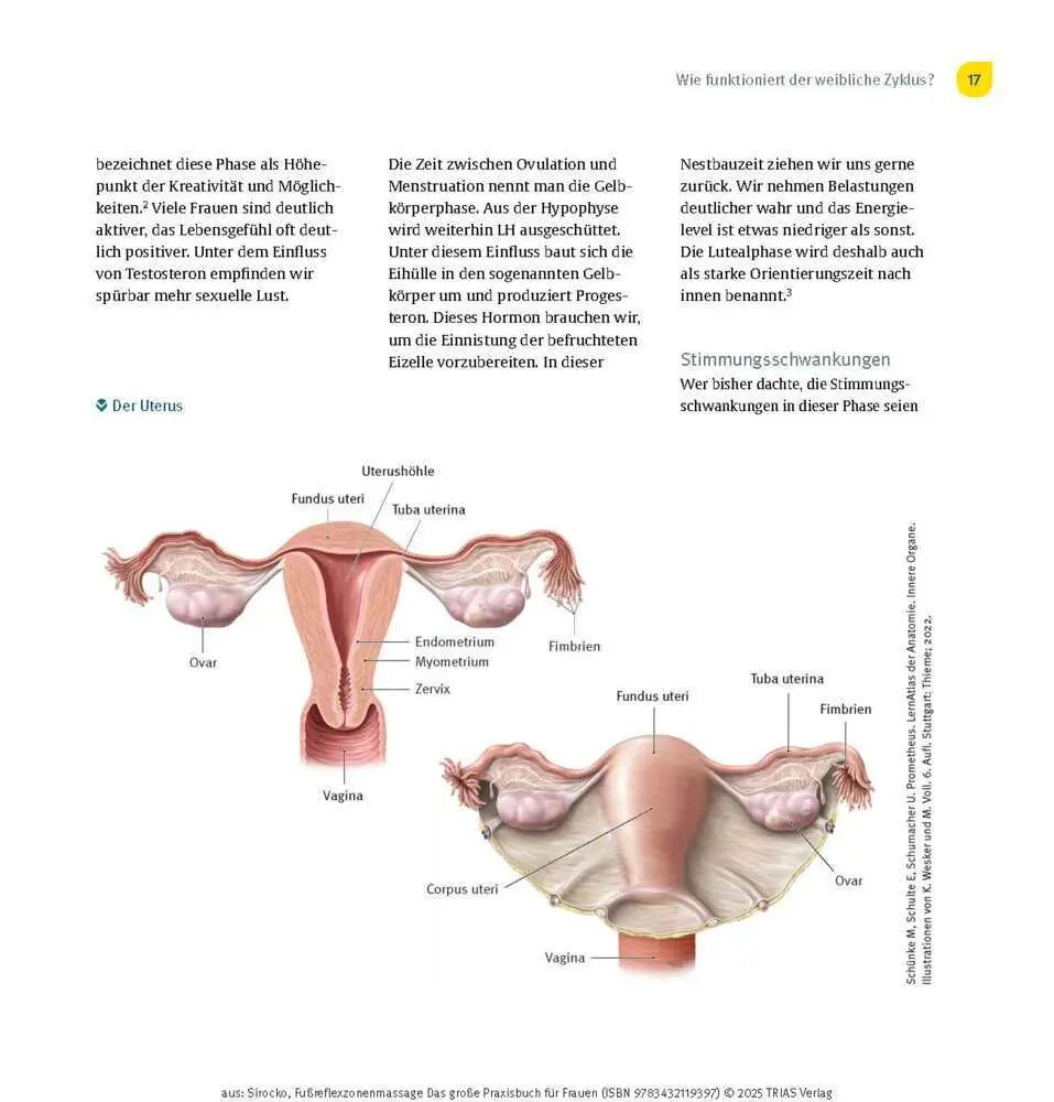Bild: 9783432119397 | Fußreflexzonenmassage - Das große Praxisbuch für Frauen | Taschenbuch