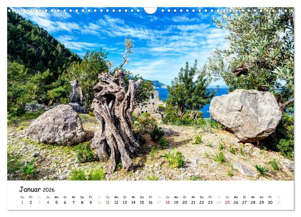 Bild: 9783516059397 | Wildes und romantisches Mallorca (Wandkalender 2026 DIN A3 quer),...