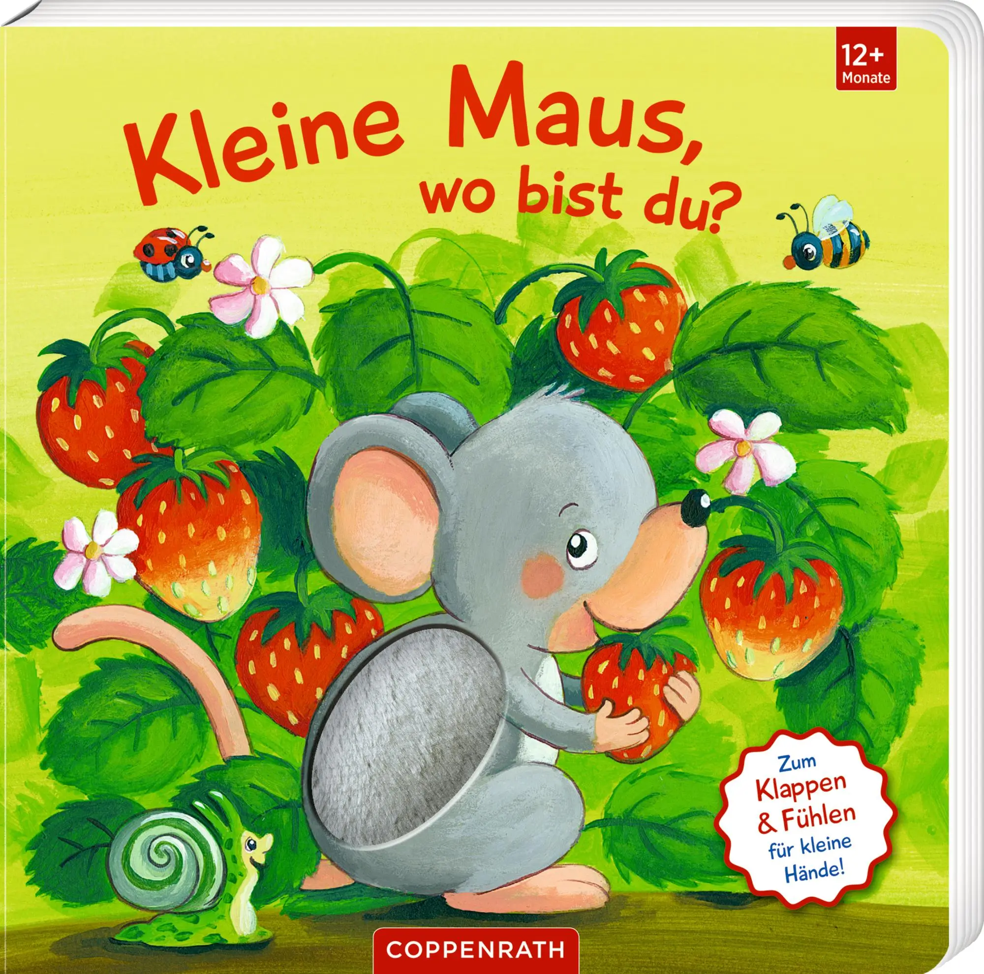 Cover: 9783649649397 | Mein erstes Guckloch-Fühlbuch: Kleine Maus, wo bist du? | Kraushaar