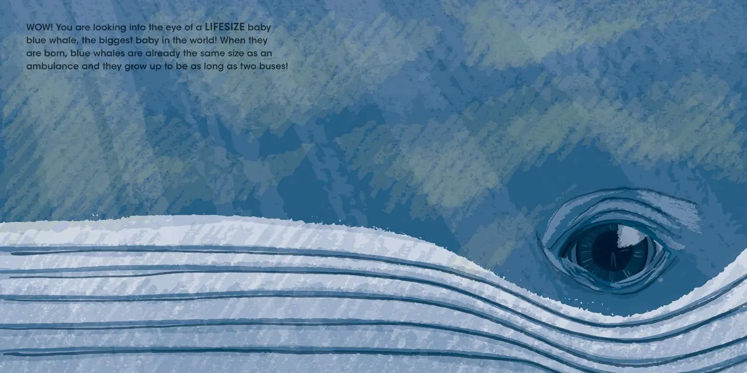 Bild: 9781405299497 | LIFESIZE BABY ANIMALS PB | Sophy Henn | Taschenbuch | Englisch | 2022