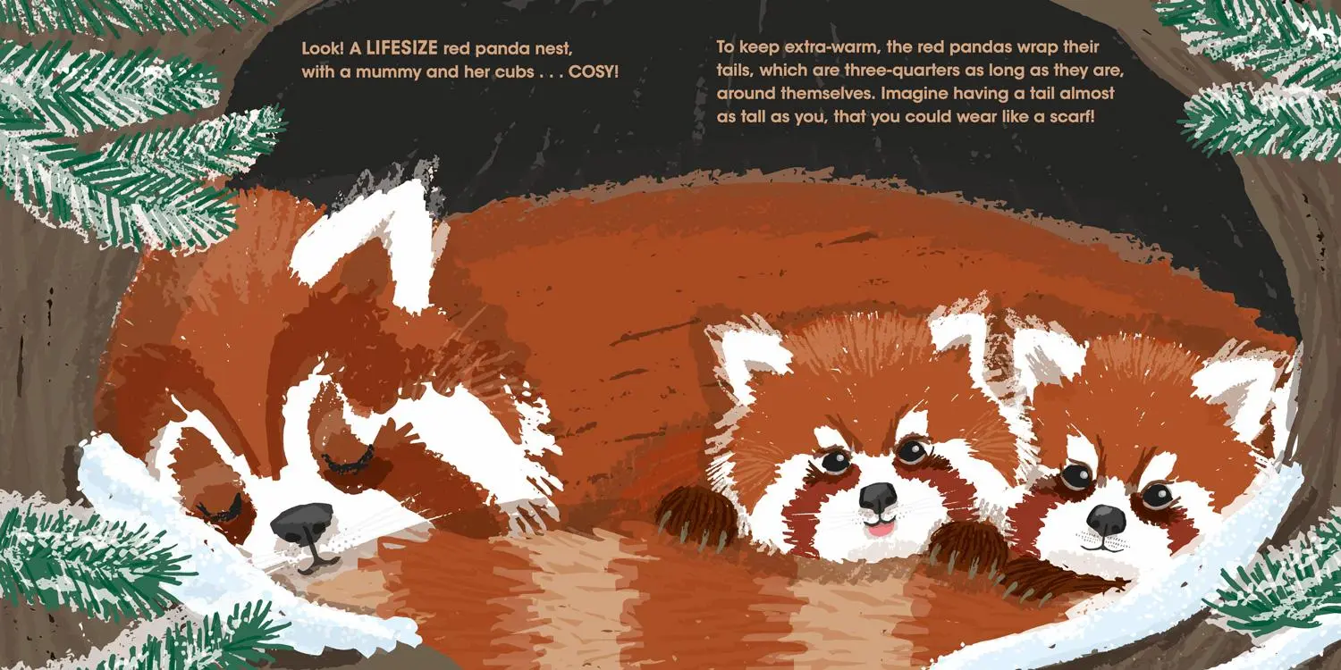 Bild: 9781405299497 | LIFESIZE BABY ANIMALS PB | Sophy Henn | Taschenbuch | Englisch | 2022