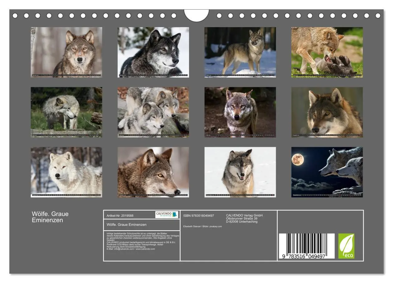 Bild: 9783516049497 | Wölfe. Graue Eminenzen (Wandkalender 2026 DIN A4 quer), CALVENDO...