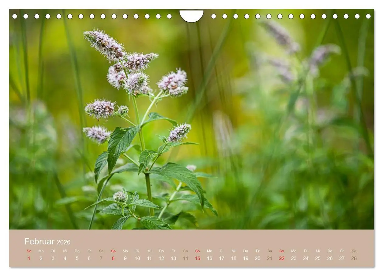 Bild: 9783516119497 | WILD, ESSBAR UND GESUND Essbare Wildpflanzen (Wandkalender 2026 DIN...