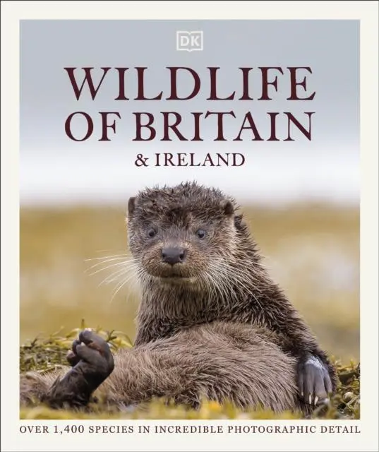 Cover: 9780241569597 | Wildlife of Britain and Ireland | Dk | Buch | Gebunden | Englisch
