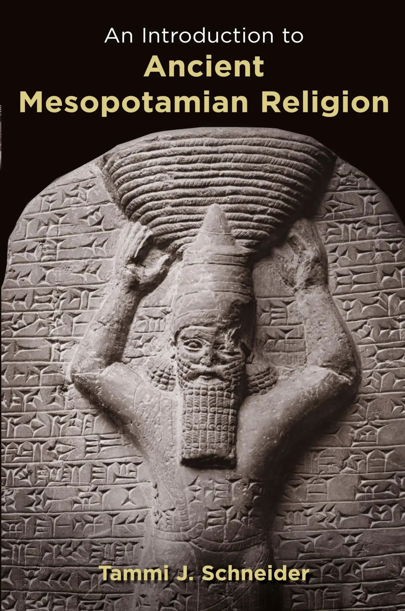 Cover: 9780802829597 | Introduction to Ancient Mesopotamian Religion | Tammi J Schneider