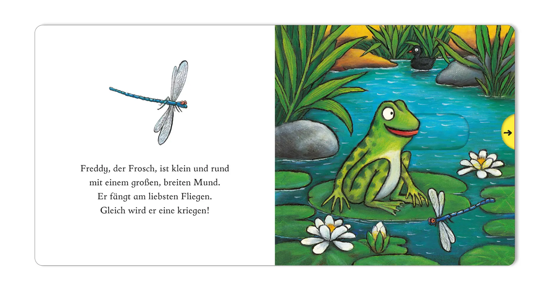 Bild: 9783407759597 | Freddy, der Frosch | Pappbilderbuch zum Schieben, Ziehen, Spielen