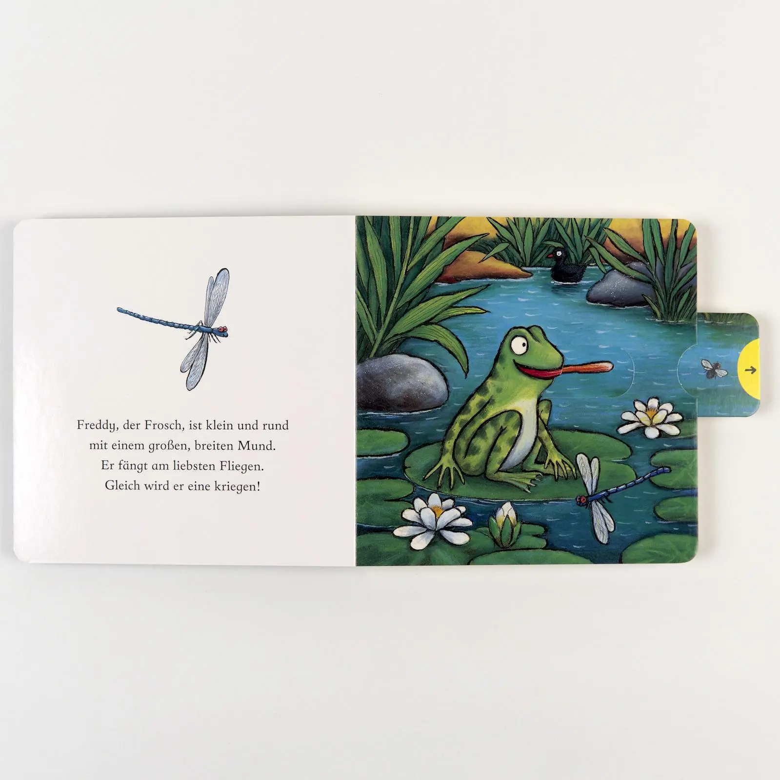 Bild: 9783407759597 | Freddy, der Frosch | Pappbilderbuch zum Schieben, Ziehen, Spielen