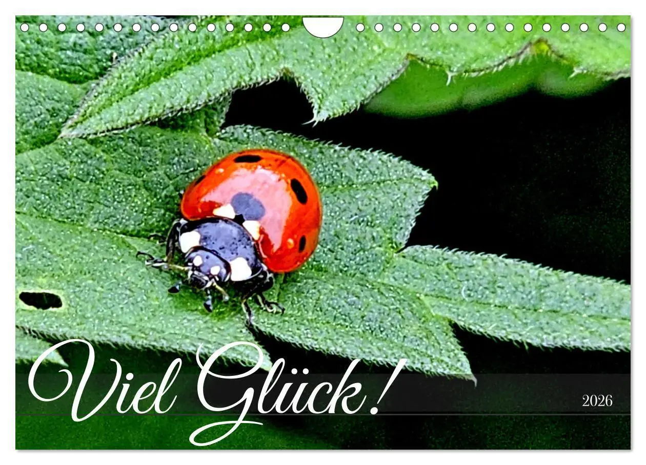 Cover: 9783457329597 | Viel Glück! (Wandkalender 2026 DIN A4 quer), CALVENDO Monatskalender