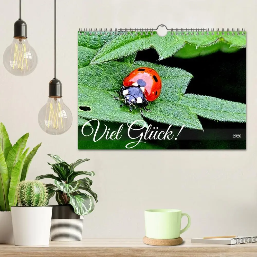 Bild: 9783457329597 | Viel Glück! (Wandkalender 2026 DIN A4 quer), CALVENDO Monatskalender