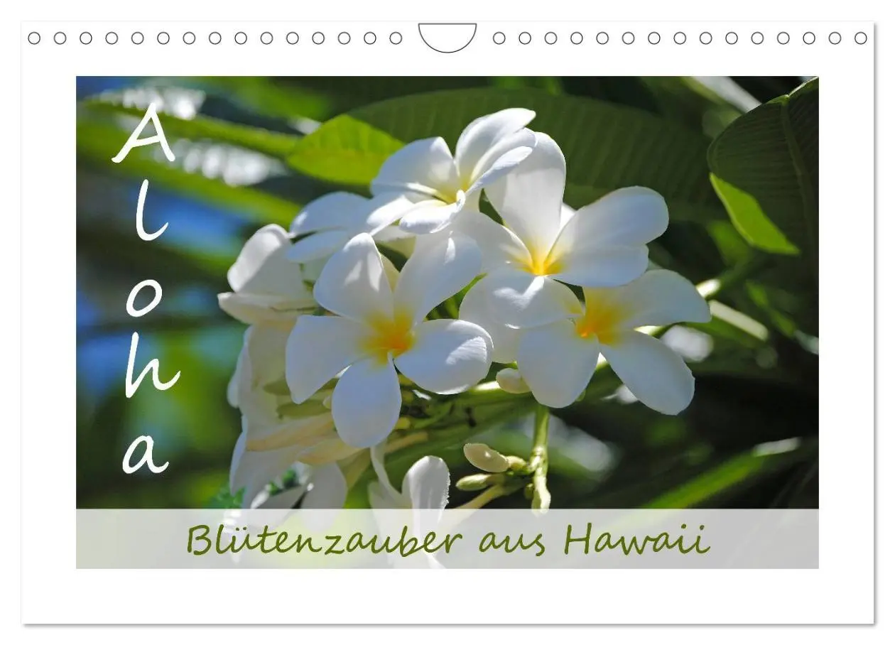 Cover: 9783516039597 | Aloha Blütenzauber aus Hawaii (Wandkalender 2026 DIN A4 quer),...