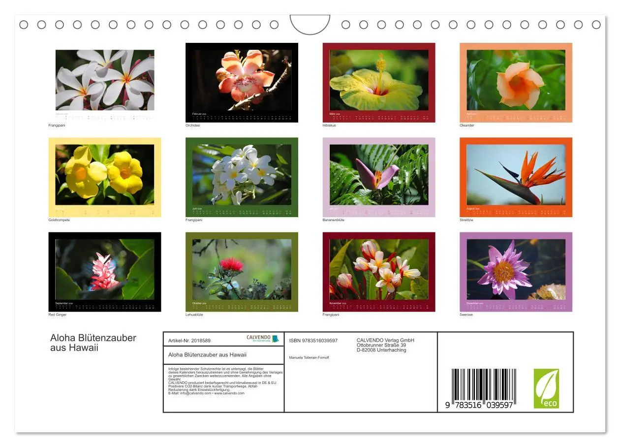 Bild: 9783516039597 | Aloha Blütenzauber aus Hawaii (Wandkalender 2026 DIN A4 quer),...