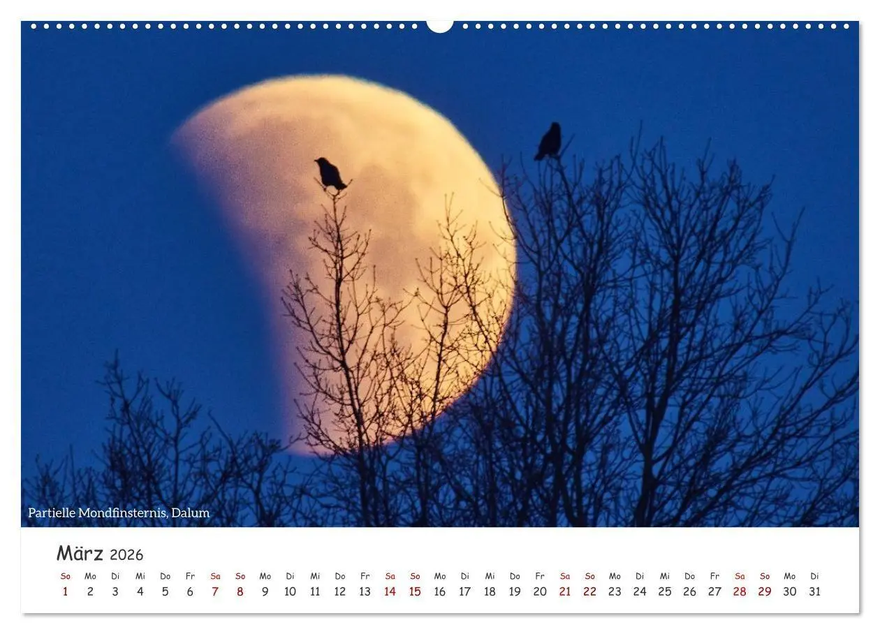 Bild: 9783516729597 | Emsland Impressionen (Wandkalender 2026 DIN A2 quer), CALVENDO...