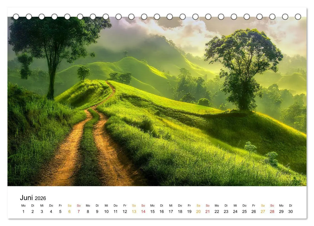 Bild: 9783457319697 | Mystischer Nebel (Tischkalender 2026 DIN A5 quer), CALVENDO...