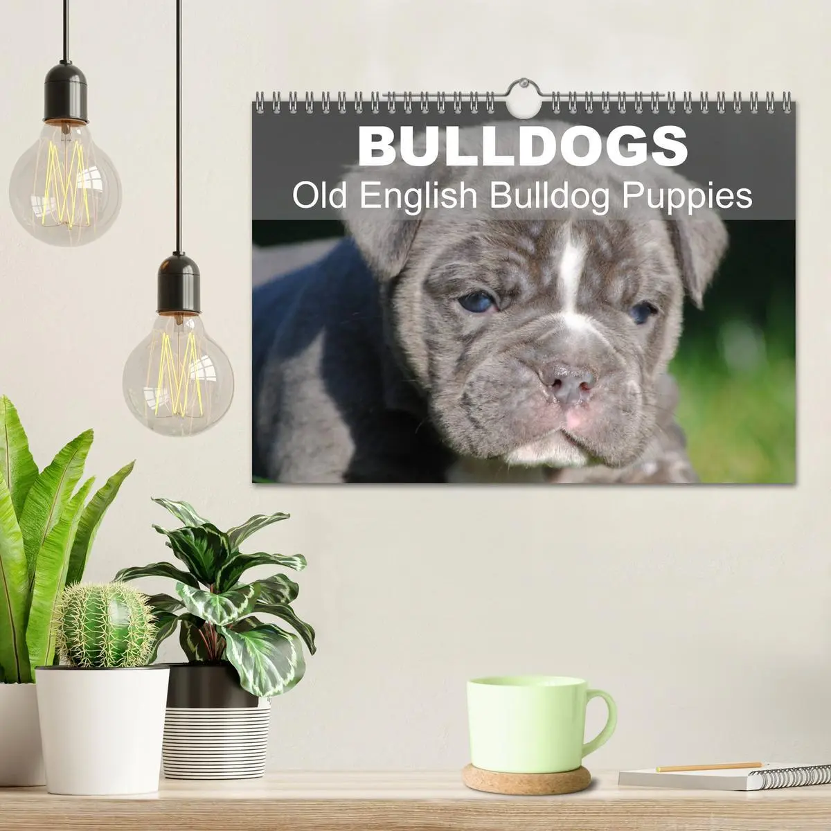 Bild: 9783516579697 | Bulldogs - Old English Bulldog Puppies (Wall Calendar 2026 DIN A4...