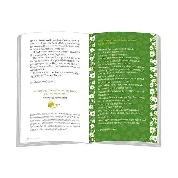 Bild: 9783869179797 | Die kleine Seelenapotheke | Geschichten mit Vitaminen zum Leben | Buch