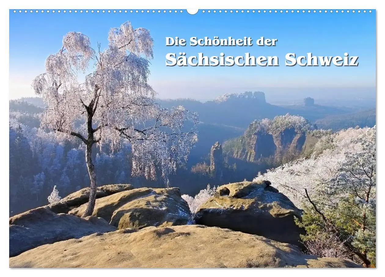 Cover: 9783457779897 | Die Schönheit der Sächsischen Schweiz (Wandkalender 2026 DIN A2...