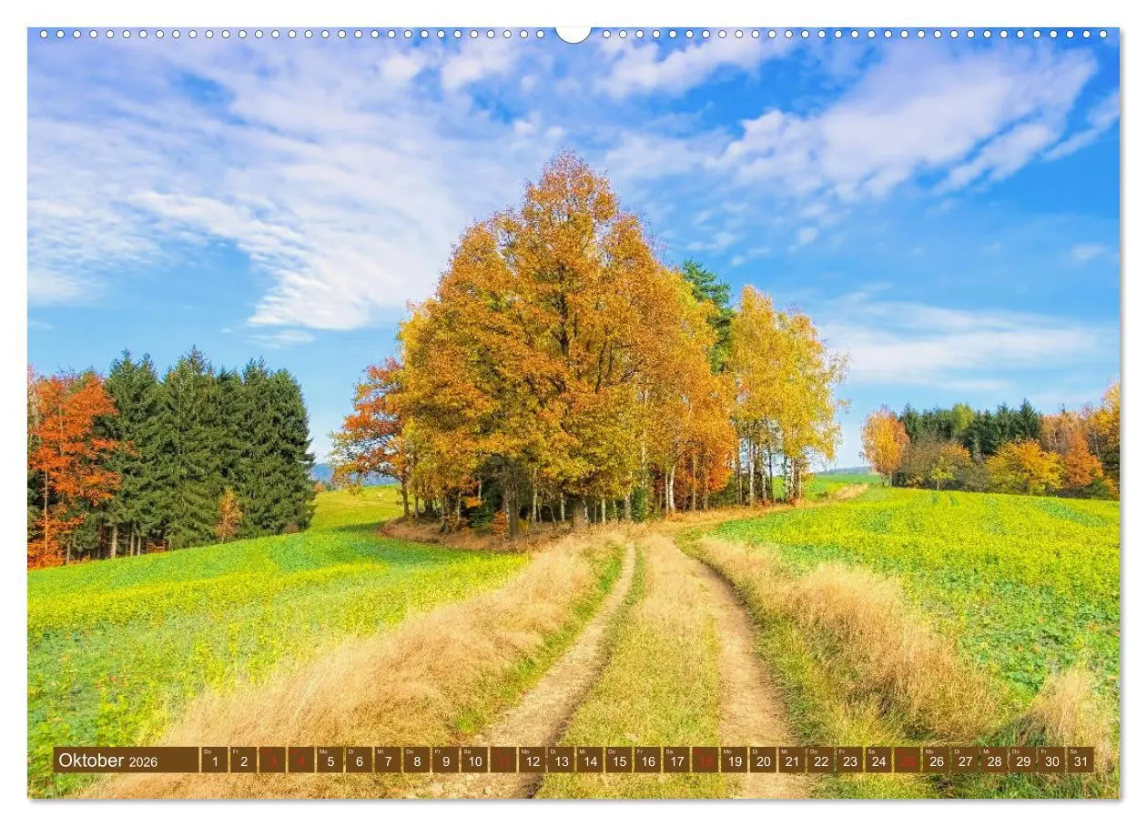 Bild: 9783457779897 | Die Schönheit der Sächsischen Schweiz (Wandkalender 2026 DIN A2...