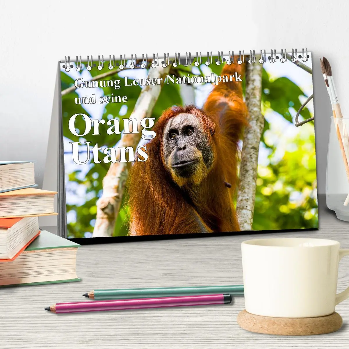 Bild: 9783457389997 | Gunung Leuser Nationalpark und seine Orang Utans (Tischkalender...
