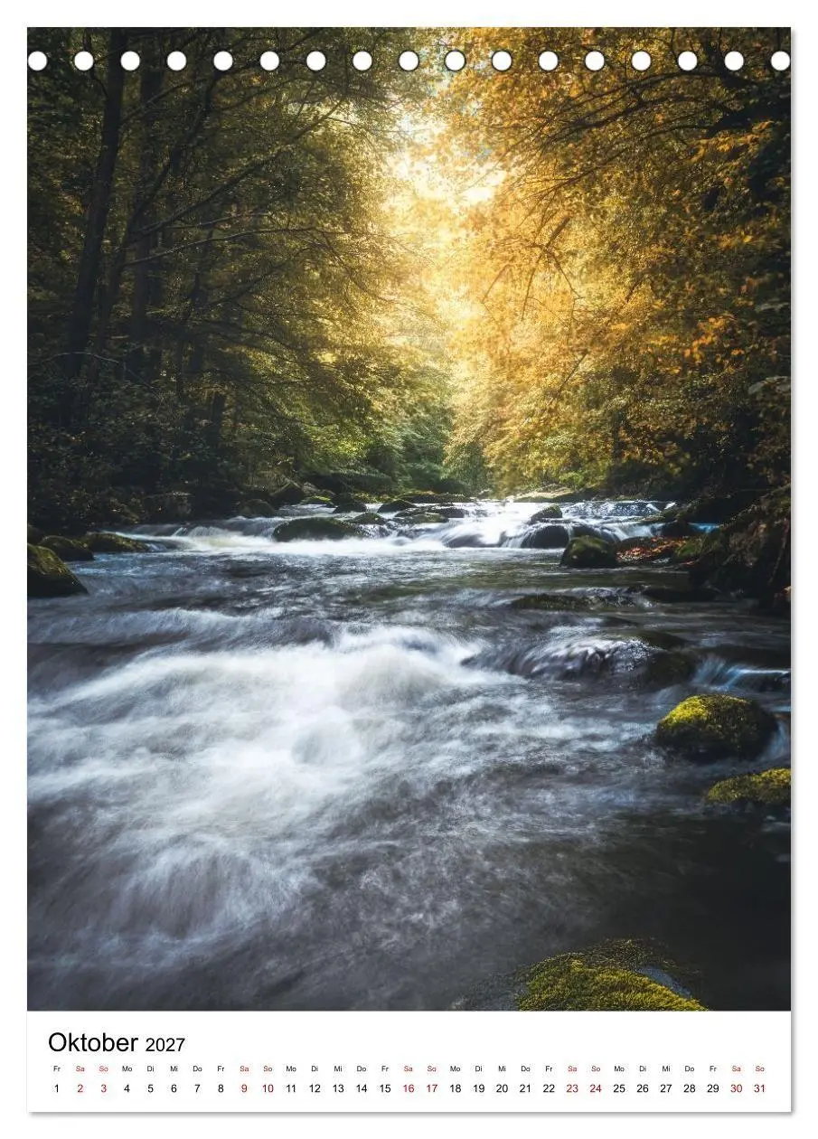 Bild: 9783516859997 | Mystischer Harz - Zwischen Licht und Schatten (Tischkalender 2027...