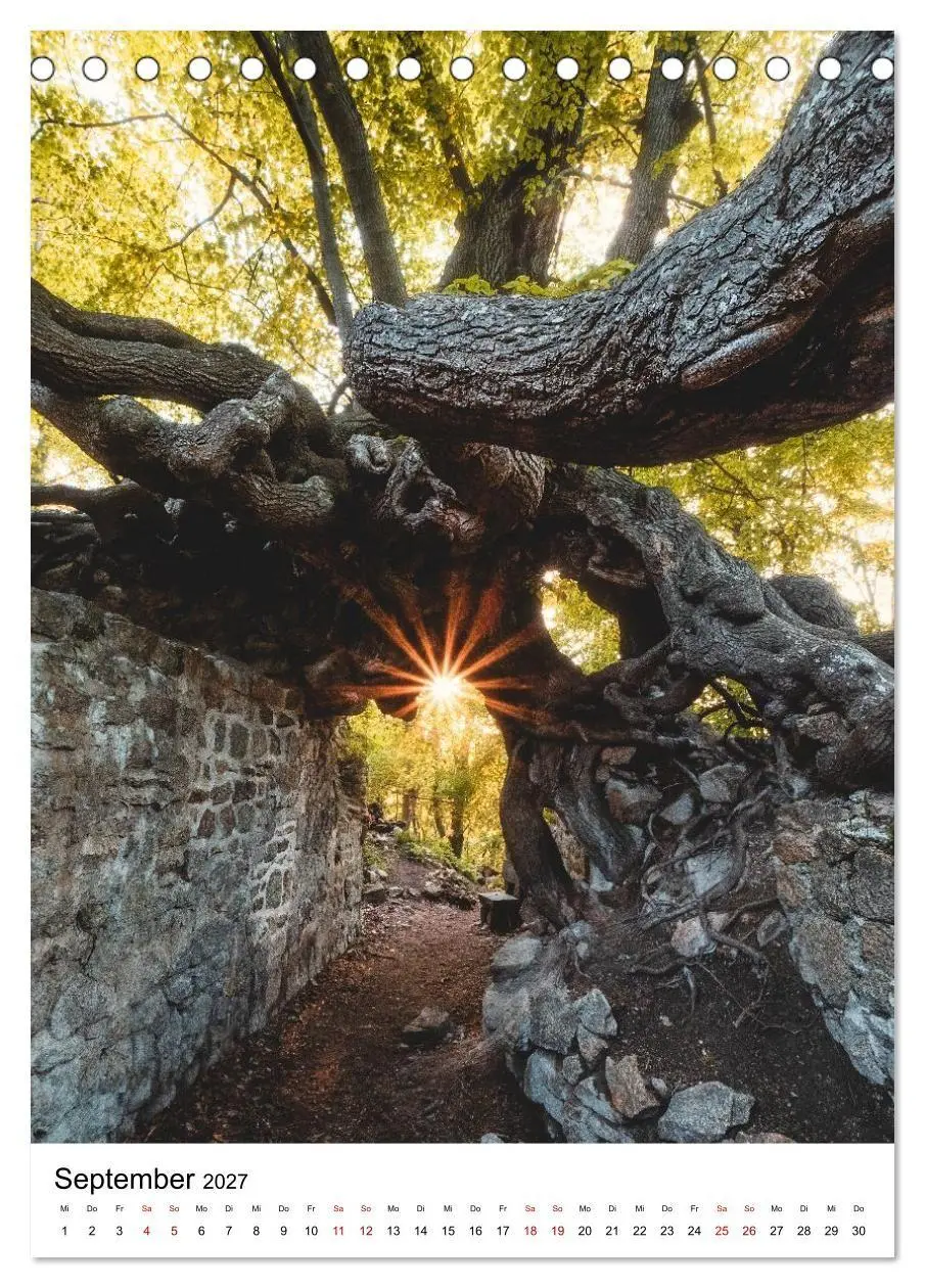Bild: 9783516859997 | Mystischer Harz - Zwischen Licht und Schatten (Tischkalender 2027...