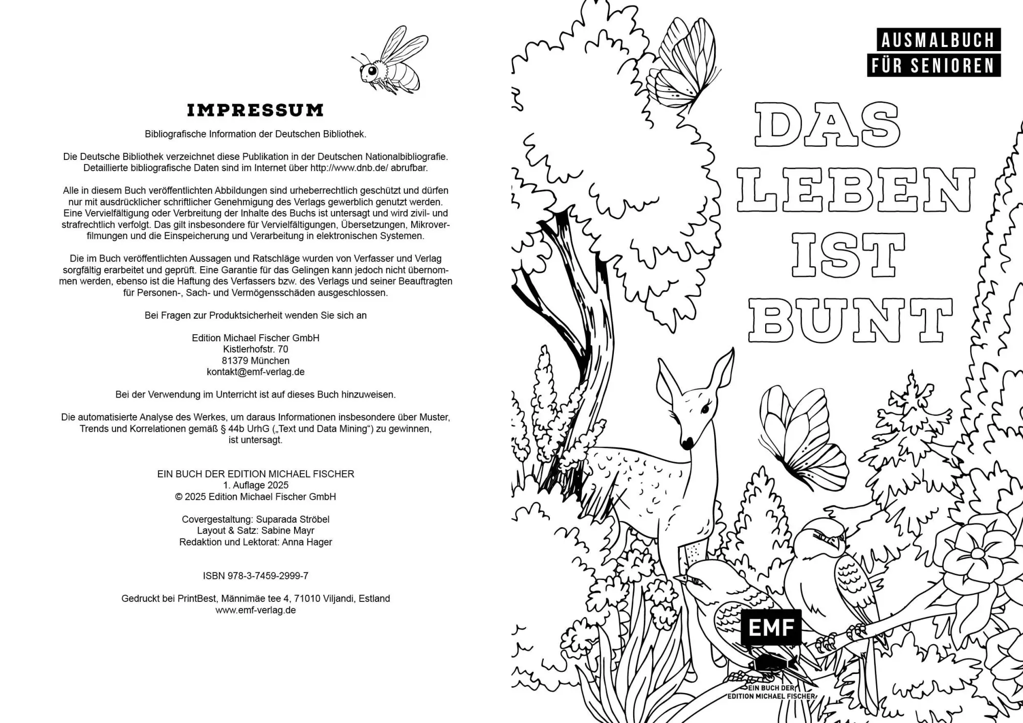 Bild: 9783745929997 | Ausmalbuch für Senioren: Das Leben ist bunt | Edition Michael Fischer
