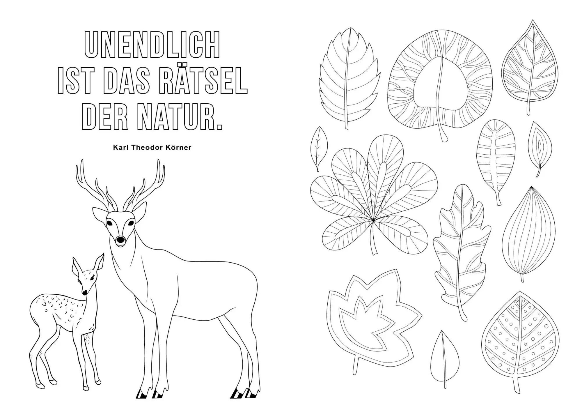 Bild: 9783745929997 | Ausmalbuch für Senioren: Das Leben ist bunt | Edition Michael Fischer