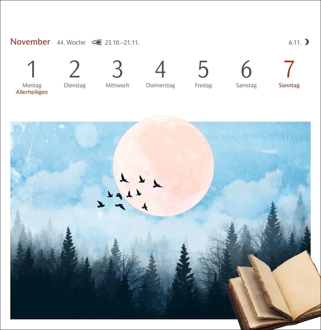 Bild: 9783840039997 | Welches Buch bin ich? Premium-Postkartenkalender 2027 -...