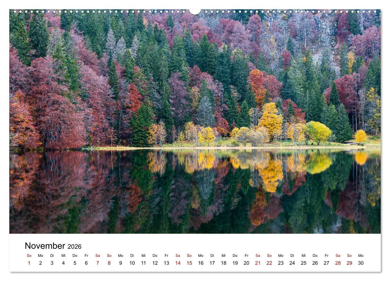 Bild: 9783457640098 | Freiburg, Drumherum (Wandkalender 2026 DIN A2 quer), CALVENDO...