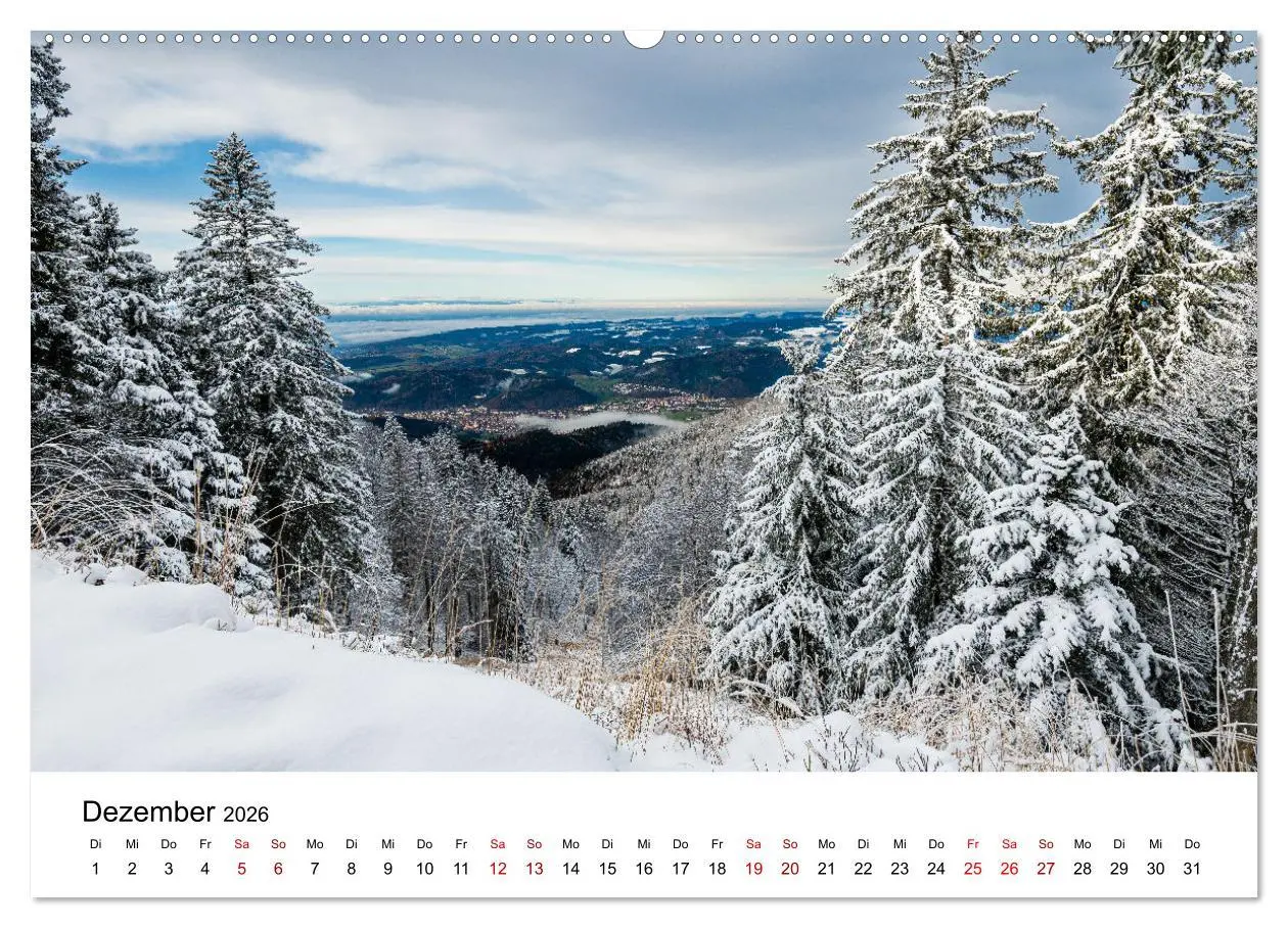 Bild: 9783457640098 | Freiburg, Drumherum (Wandkalender 2026 DIN A2 quer), CALVENDO...