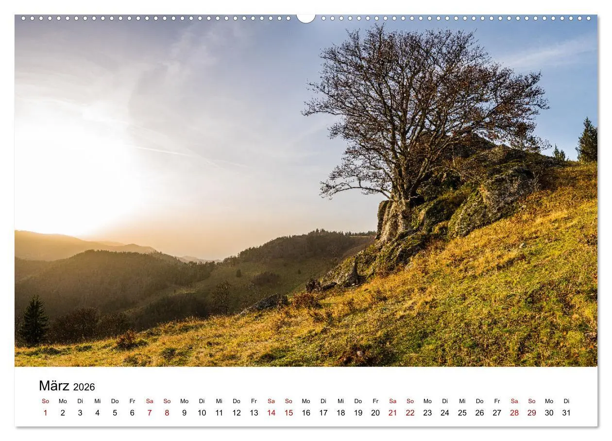 Bild: 9783457640098 | Freiburg, Drumherum (Wandkalender 2026 DIN A2 quer), CALVENDO...