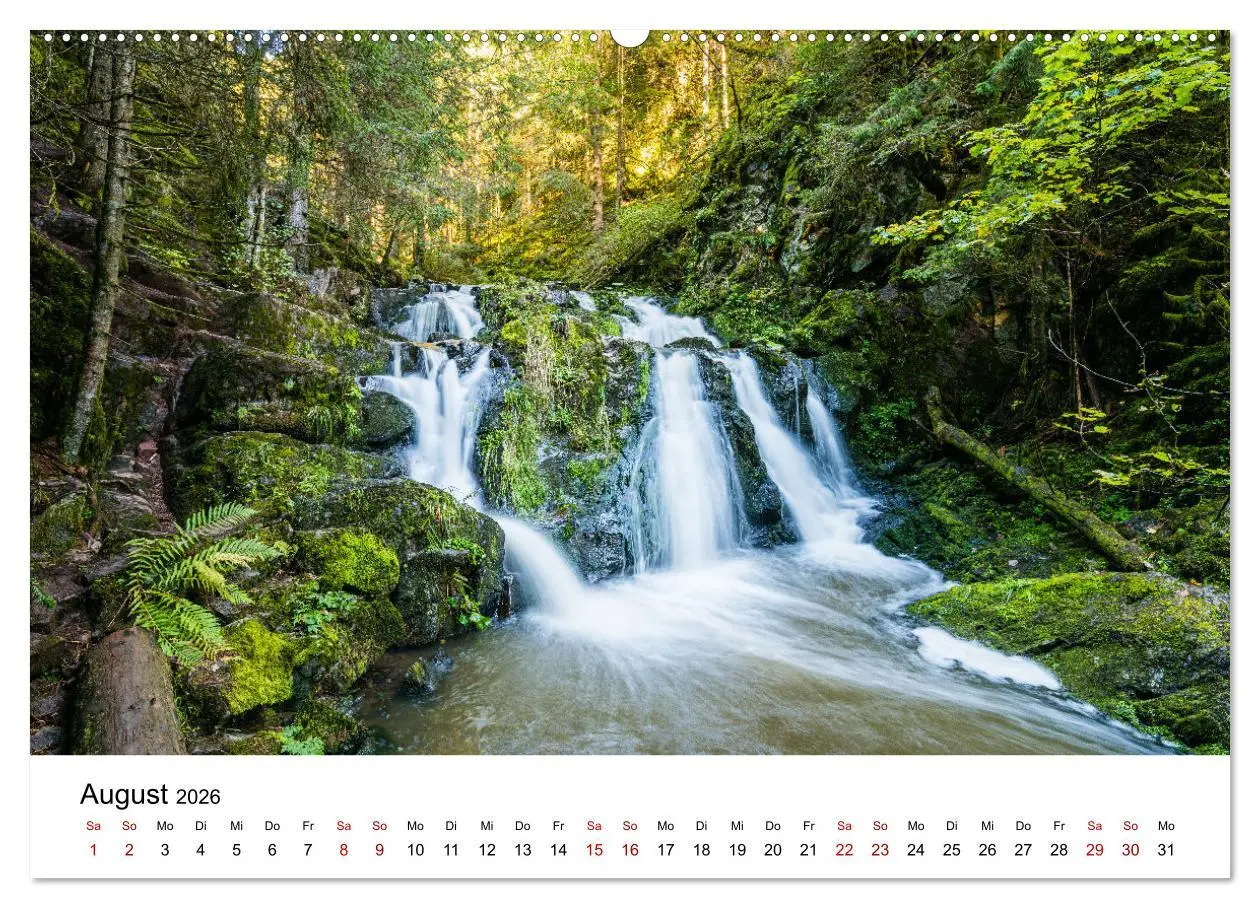 Bild: 9783457640098 | Freiburg, Drumherum (Wandkalender 2026 DIN A2 quer), CALVENDO...