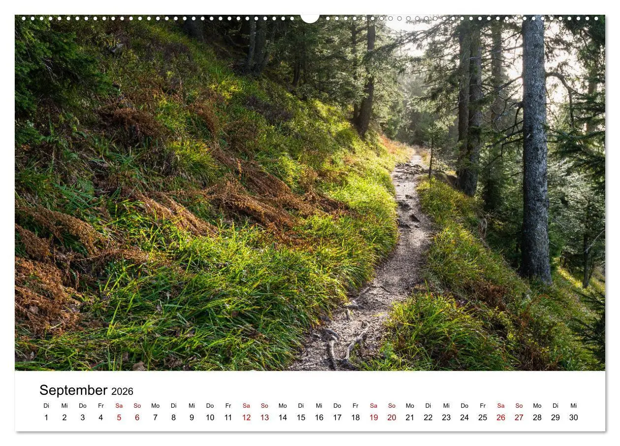 Bild: 9783457640098 | Freiburg, Drumherum (Wandkalender 2026 DIN A2 quer), CALVENDO...