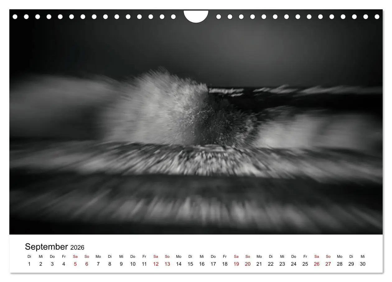 Bild: 9783457880098 | Sylt ... bewegt (Wandkalender 2026 DIN A4 quer), CALVENDO...