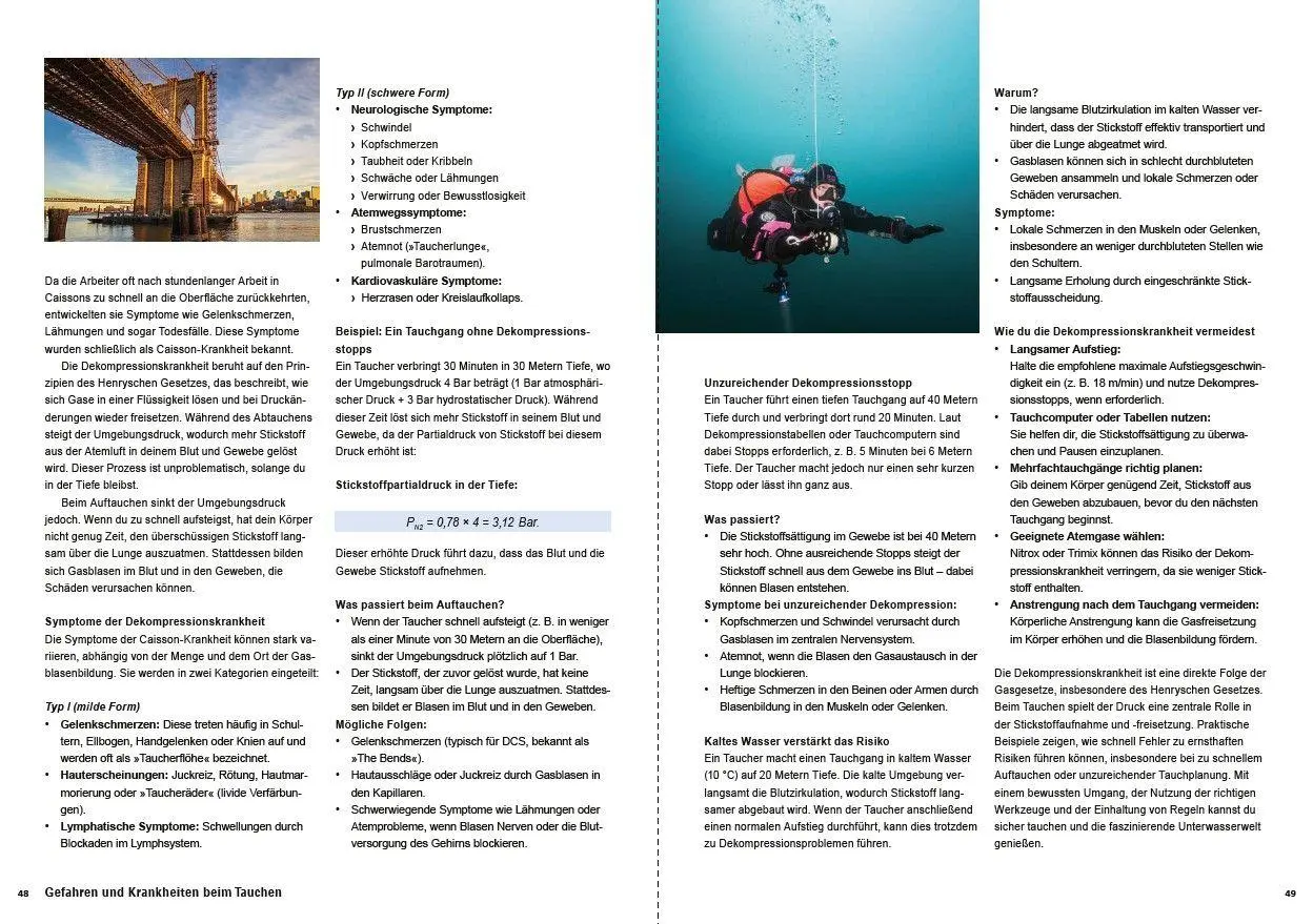 Bild: 9783613510098 | Das ultimative Taucherhandbuch | Arndt Kemper | Taschenbuch | 352 S.